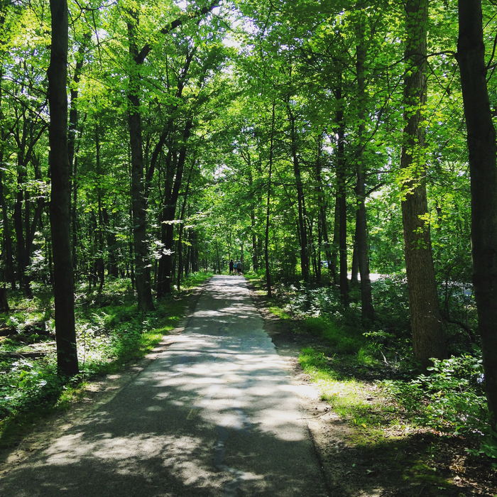 Kensington Metropark - 2015 Photo